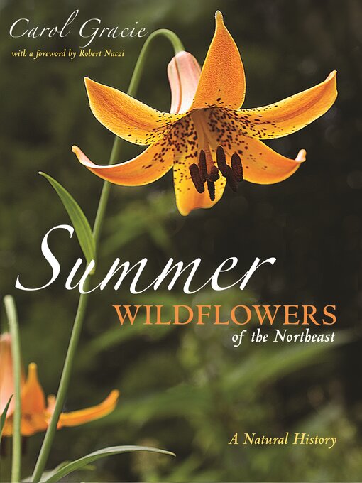 Title details for Summer Wildflowers of the Northeast by Carol Gracie - Wait list
